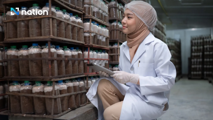 Industri Halal Thailand Berkembang Pesat, Siap Rajai ASEAN pada 2025